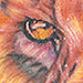 Tattoos - lion - 36894